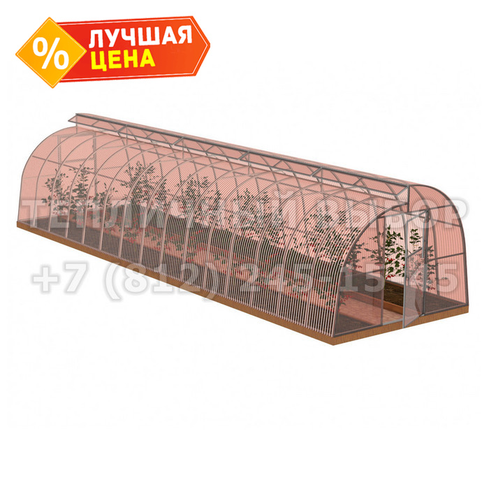 Теплица из поликарбоната-фито Усиленная По Митлайдеру 3х10 h=2.2 м профиль 25х25 мм