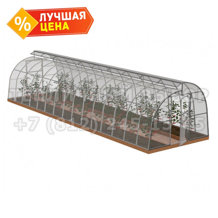 Теплица из поликарбоната Усиленная По Митлайдеру 3х10 h=2.2 м профиль 25х25 мм