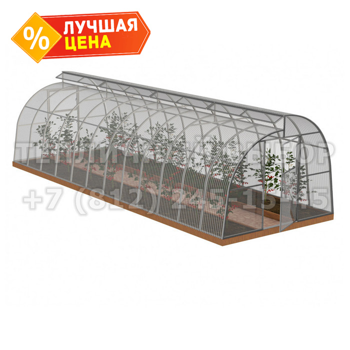 Теплица из поликарбоната Усиленная По Митлайдеру 3х8 h=2.2 м профиль 25х25 мм