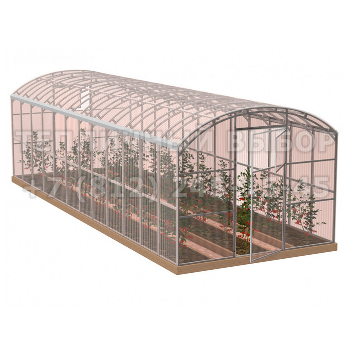 Теплица из поликарбоната-фито Усиленная Прямостенная 2,5х12 h=2.1 м профиль 20х40 мм